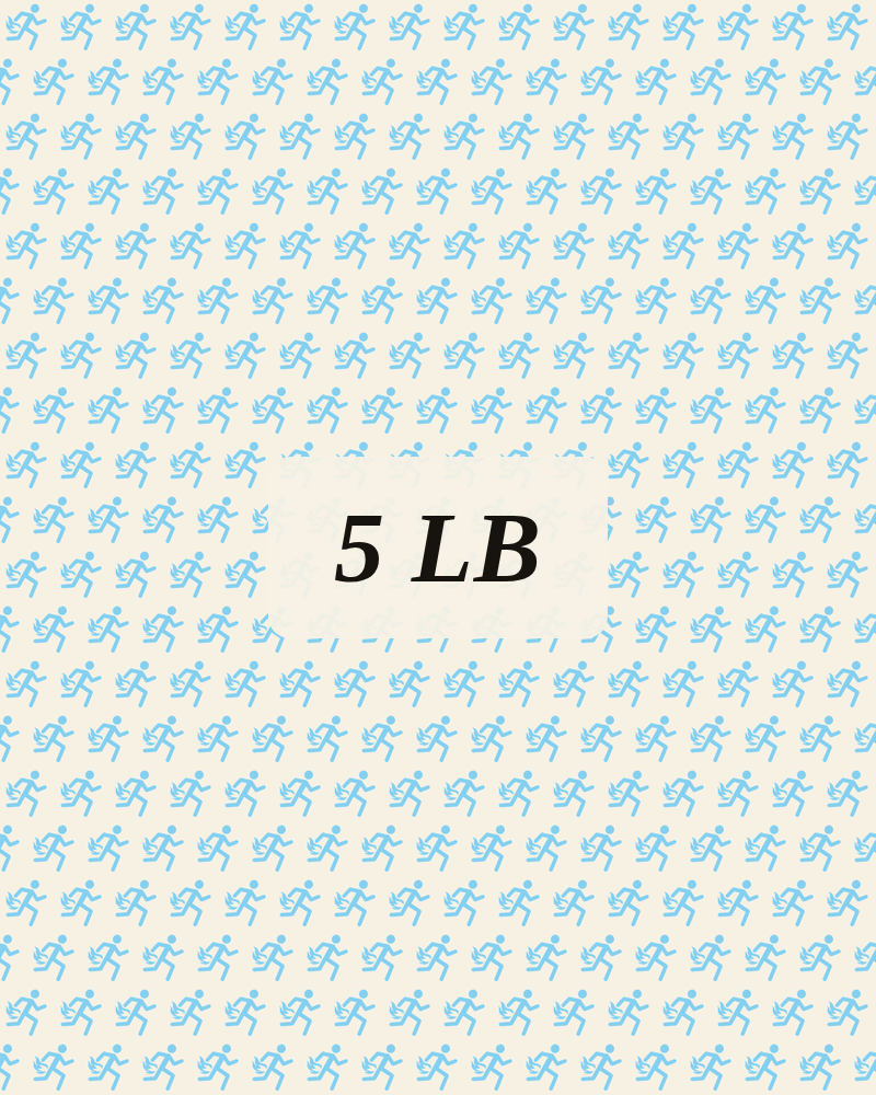 The Long Haul bag pattern preview